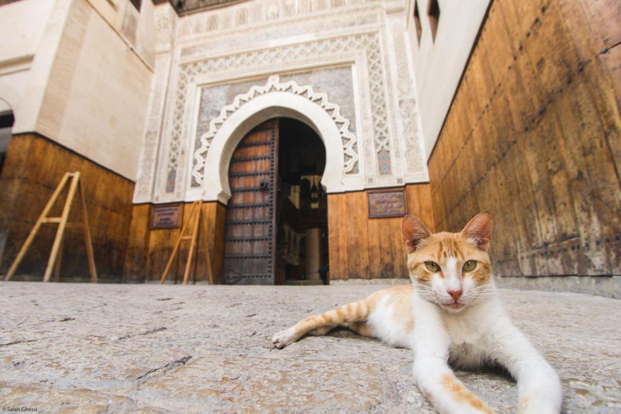 Riad Anis Fes Ngoại thất bức ảnh